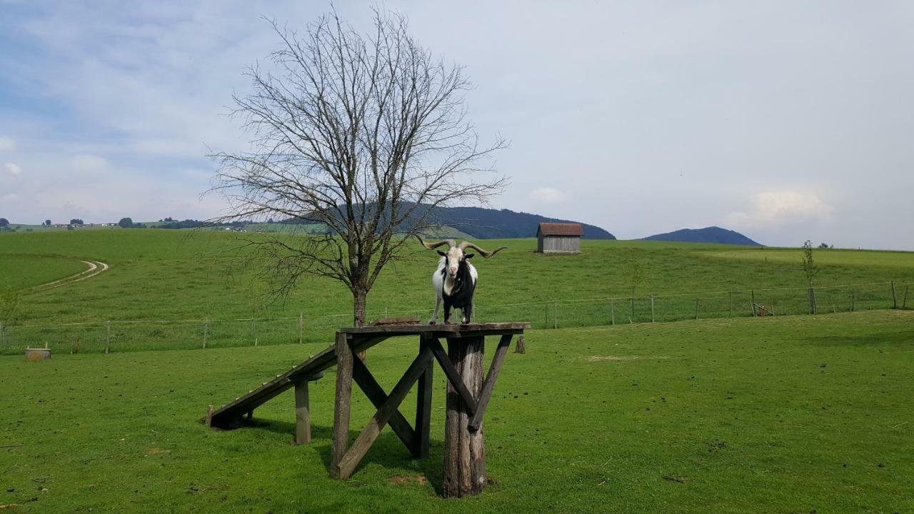 Farma Zenzlgut *