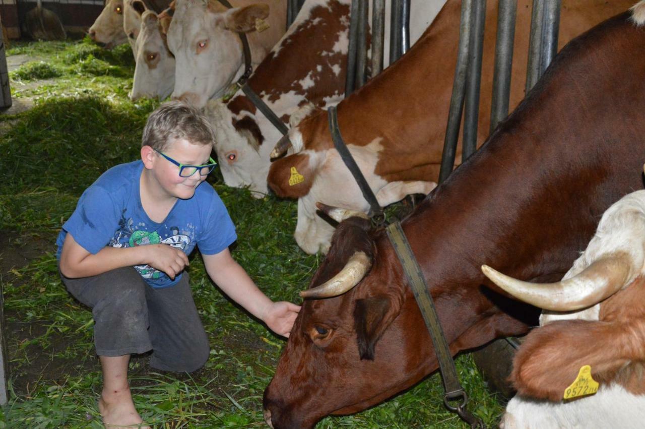 Farma Zenzlgut Tiefgraben