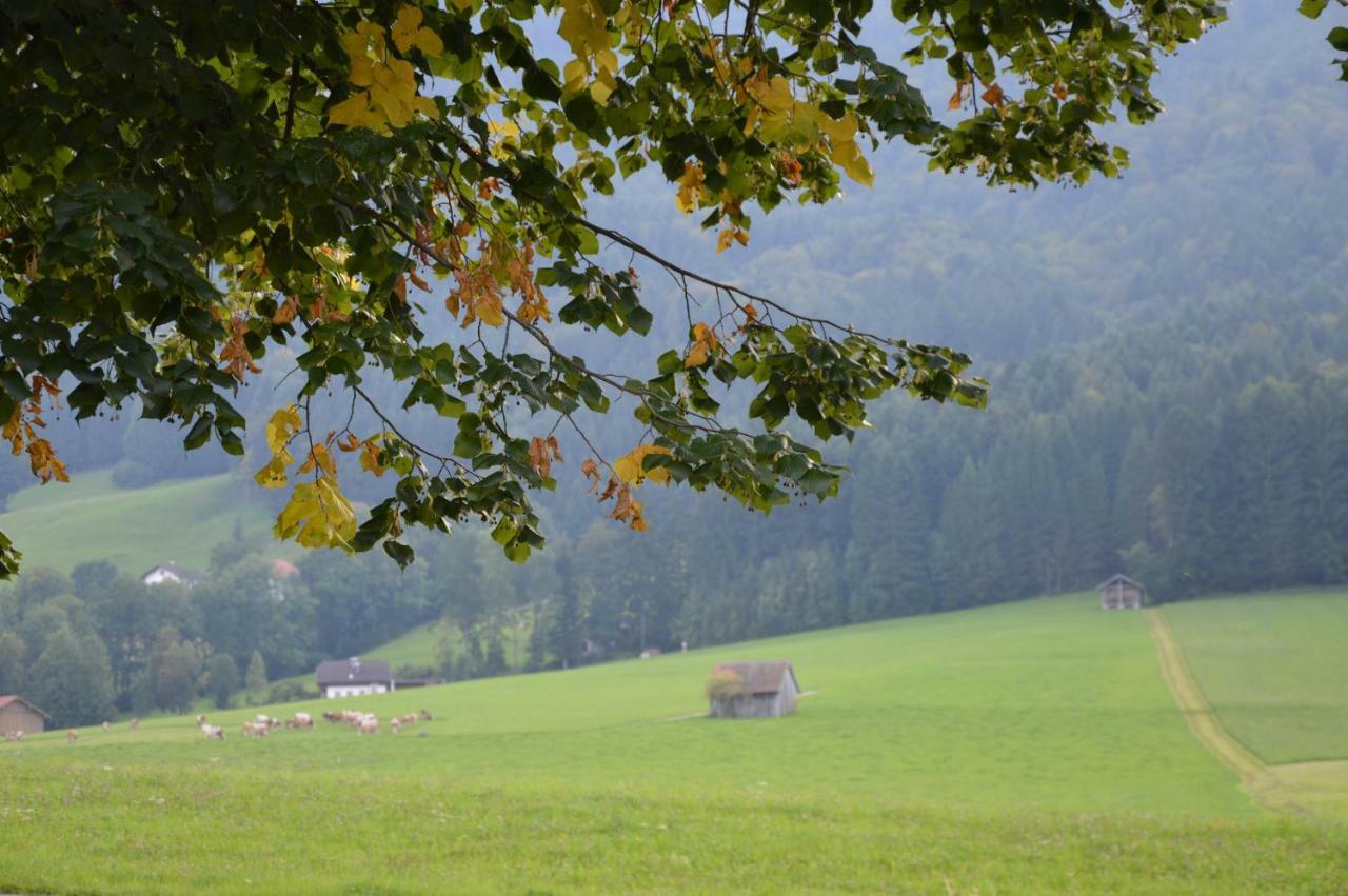 Zenzlgut