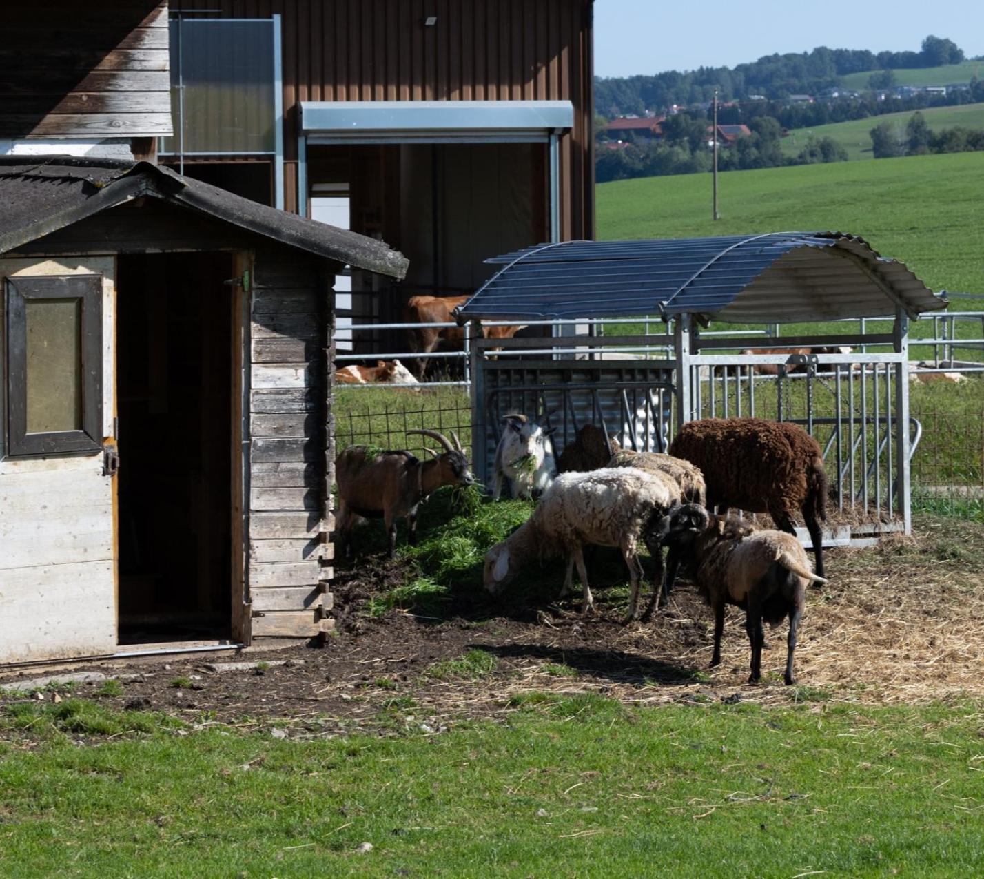 Séjour à la ferme Zenzlgut Tiefgraben