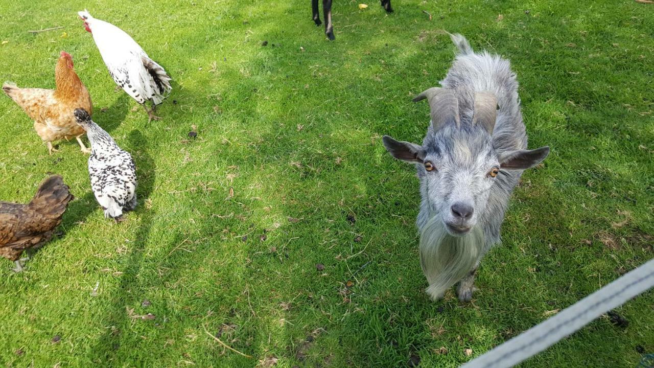 Séjour à la ferme Zenzlgut Tiefgraben